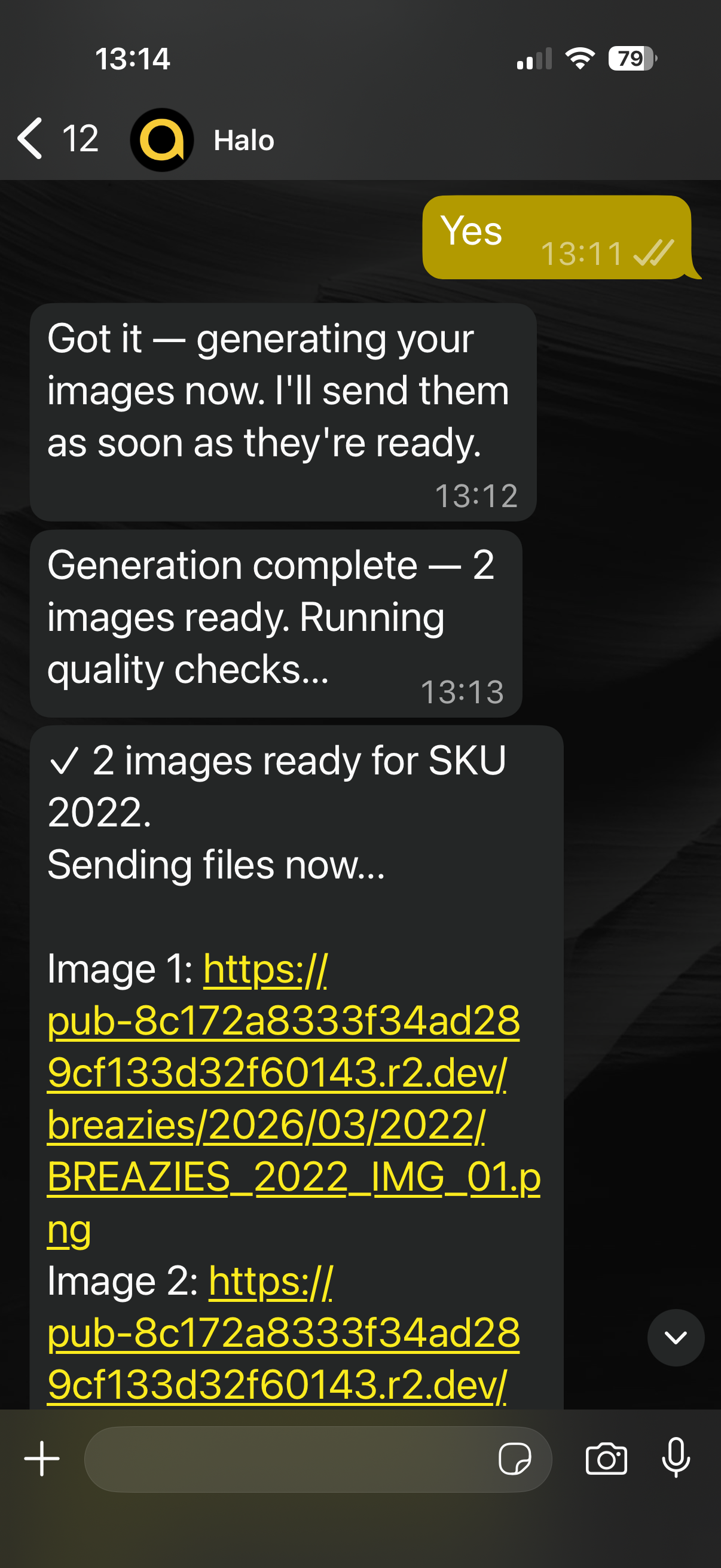 Halo delivering 2 generated images for SKU 2022 with download links