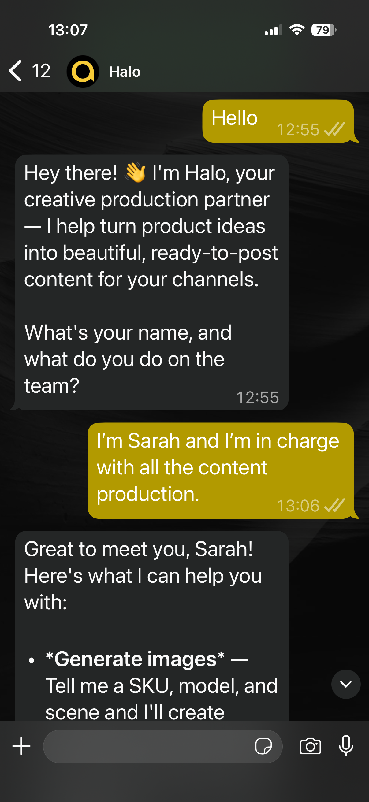 Halo onboarding conversation - introducing itself and asking about the user's role