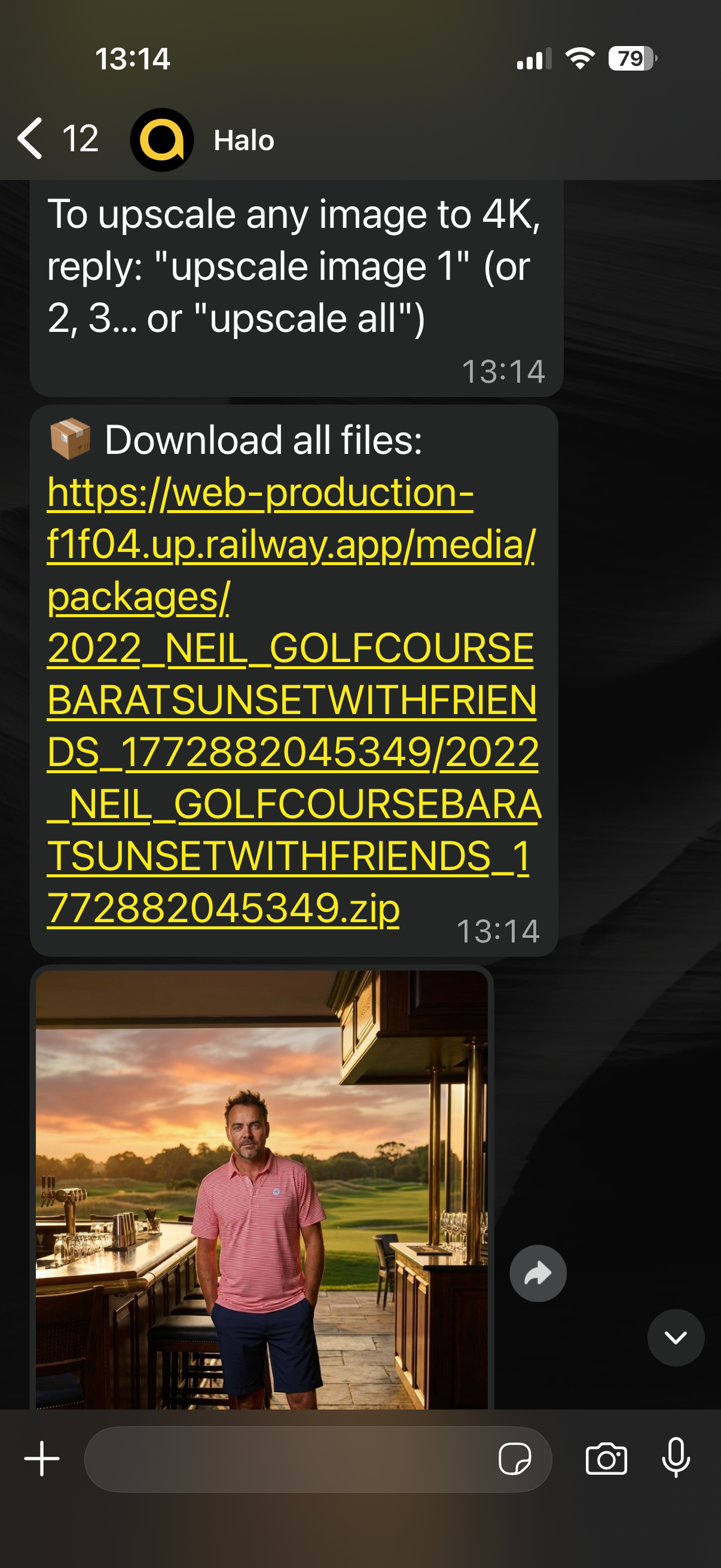 Halo offering 4K upscaling and delivering high-res files with preview image